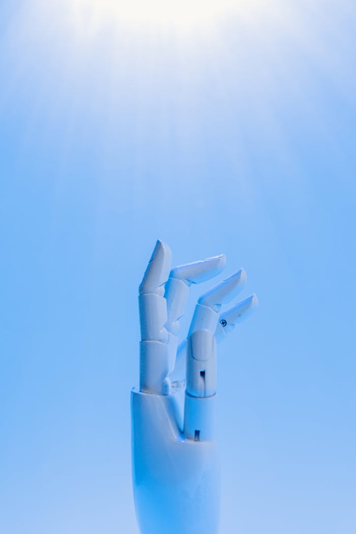 services-02